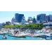 Découvrez Montréal en 5 heures – Monuments historiques et vues panoramiques