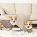 Pet water Bowl-2L