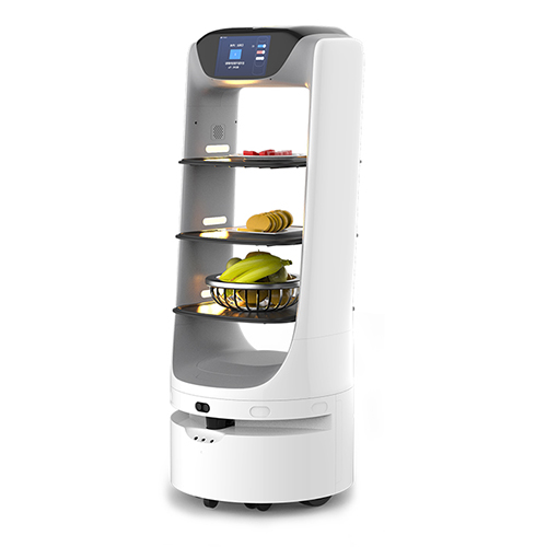 Robot de service Deligo