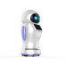 Robot de service KaKa