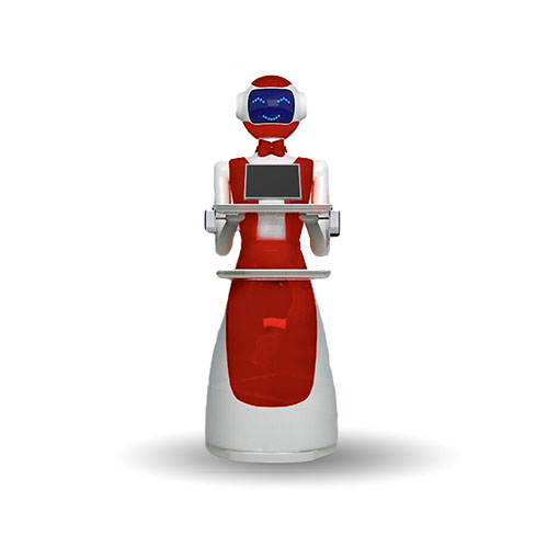 Robot de service LeLe