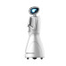 Robot de service YinYin