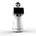 Robot de service YinYin