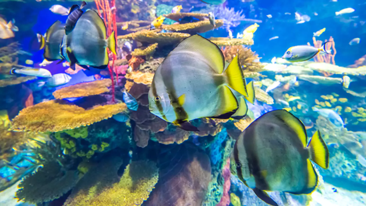 2-Day Toronto & Niagara Falls Flexible Tour – Explore at Your Own Pace